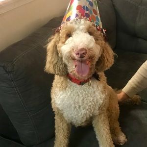 Meet your Posher, Renee